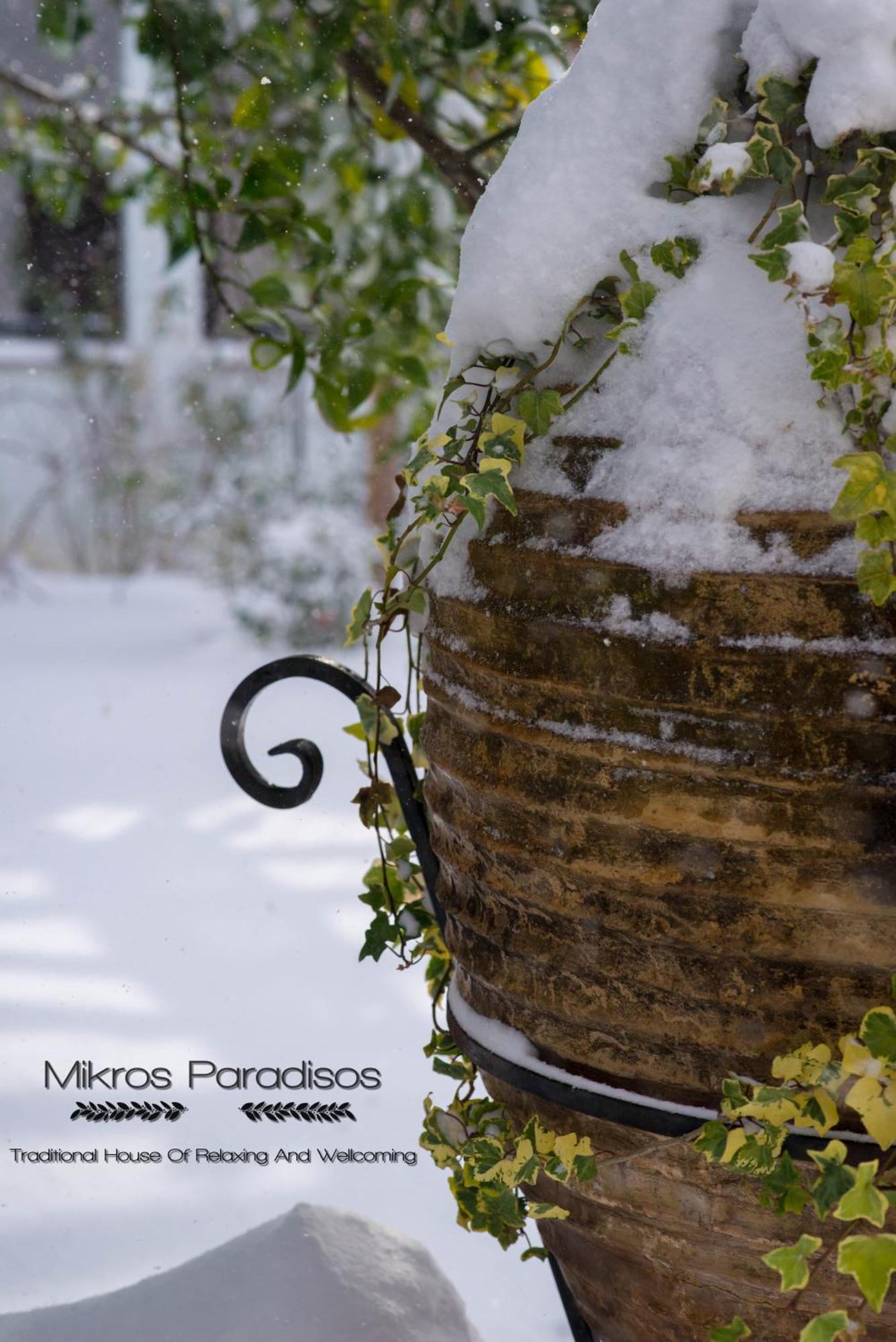 Mikros Paradisos Pelion Áyios Vlásios Buitenkant foto